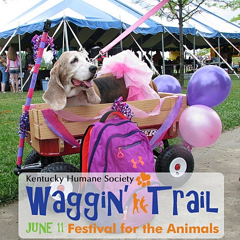 Waggin Trail!