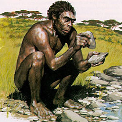 Timeline: Los Hominidos