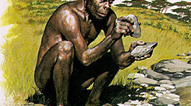 Timeline: Los Hominidos