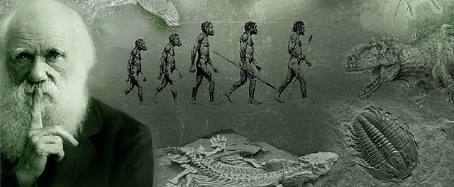 Desarrollo de La Teoría de la Evolución