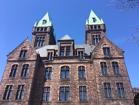 Hospital para enfermos mentales, Bufalo