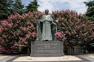 Muere Gregor J. Mendel