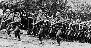 Crecimiento de Guerrillas