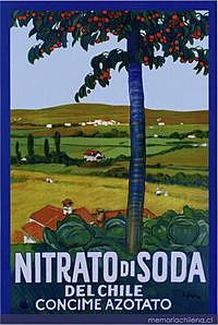 El salitre y la propaganda