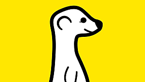 Meerkat