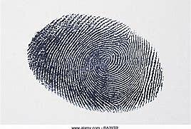 dactyloscopy