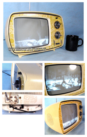 La Chicago TV Collage inicia la emisión de programas educativos.