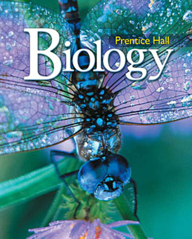 Jean-Baptiste Lamarck began the detailed study of invertebrate taxonomy.