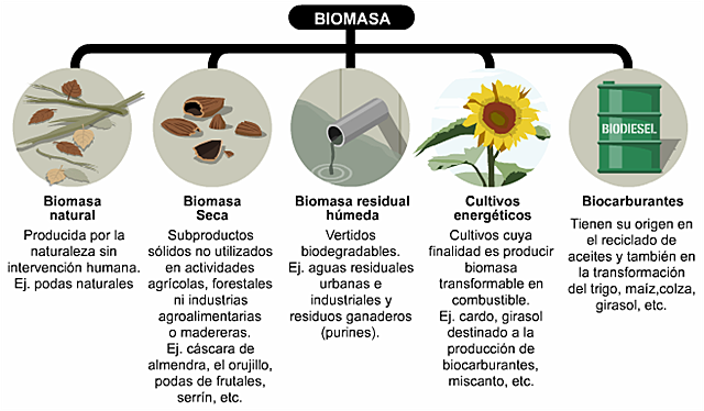 Energia De La Biomasa