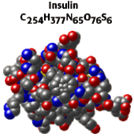 Dorothy Crowfoot Hodgkin deciphered the three-dimensional structure of insulin.