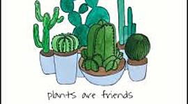 Timeline: base de datos