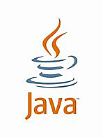 Sun lanza JAVA. Tecnologia del año: WWW.
