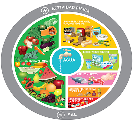 Guías alimenetaria y de actividades física para la población costarricense