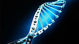 Timeline: Historia de la Genética (Wilfredo Miranda)