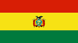 Timeline: Historia de la Bandera de Bolivia