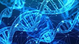 Timeline: HISTORIA DEL MATERIAL GENÉTICO