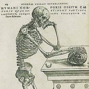 Andres Vesalio 1511- 1564