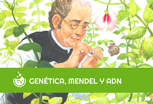 Gregor Mendel