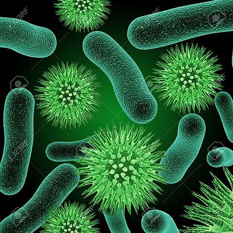 Las bacterias transmiten información genética
