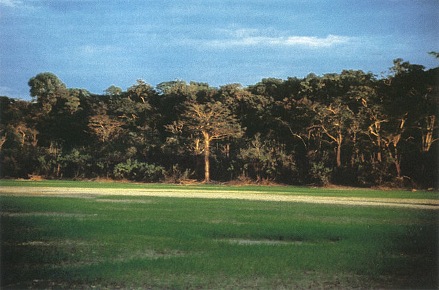 Disputa por el cordón selvático - Fronteras