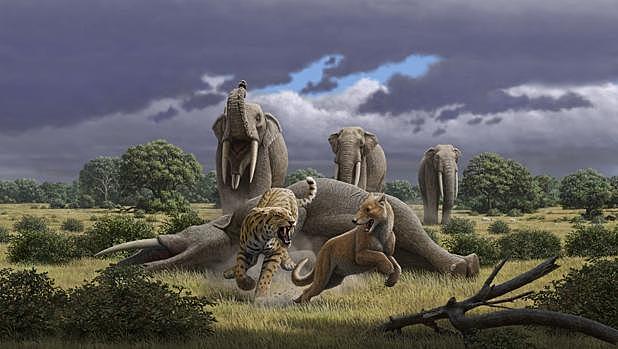 Época Mioceno (24 M.A. -  5 M.A.)