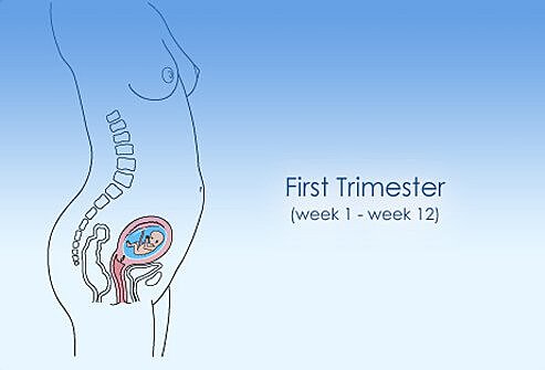 First trimester.