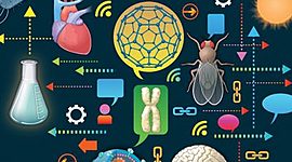 Timeline: Avances Tecnológicos