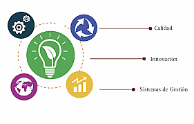 Aseguramiento de la Calidad