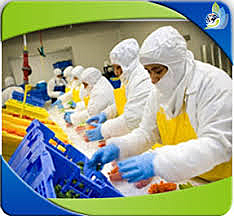 Buenas Prácticas de Manufactura (BPM)