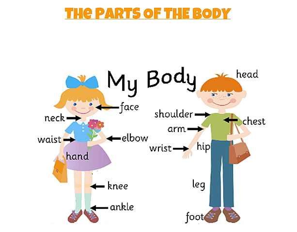 FIRST SESSION (60 minutes)