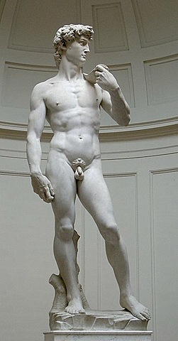 David van Michelangelo