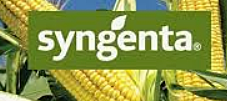 SYGENTA (Compañía global del sector del agro)