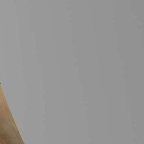 Drinkhoorn van het Amsterdamse kloveniersgilde