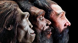 Timeline: Posturas de la evolución