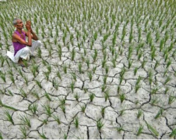 Food shortages caused problems with economy