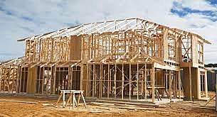 Skelet (architectuur/gebouwen)