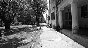 Lepra: Ley Aberastury