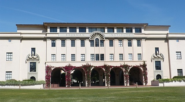 Received a B.S. in Mathematics