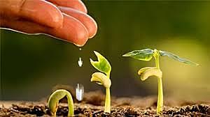 surge la agroindustria