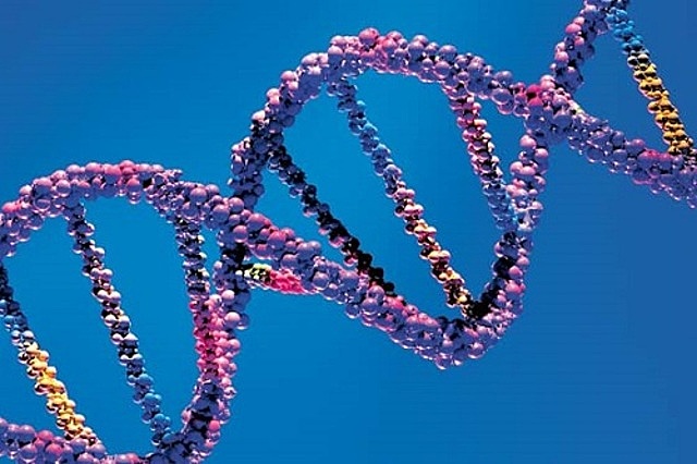 Descubrio la estructura de doble helice del ADN