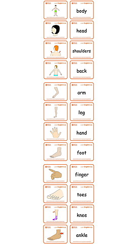 First session (5 minutes)