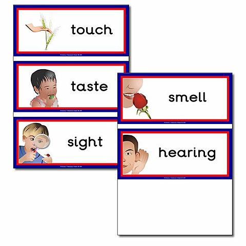 Second session (5 minutes)