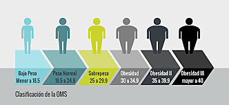 estrategia mundial de la OMS sobre regimen Alimentario , Actividad fisica y Salud.