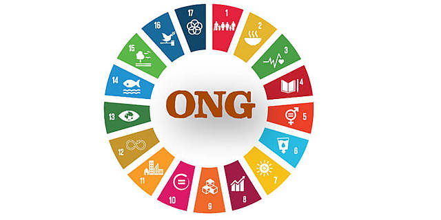 Las ONGs y el ascenso de las expertas