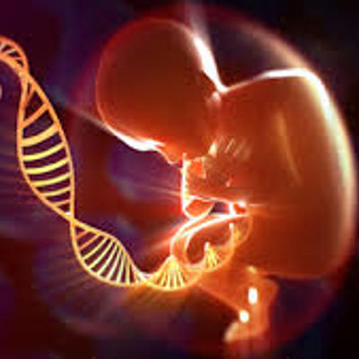 Timeline: Historia de la Genética