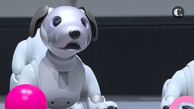 SONY lanza "Aibo" un perro-robot. Que le traen grandes resultados en publicidad gratuita a nivel mundial por su invento, acentuando la competencia con su rival comercial Honda.