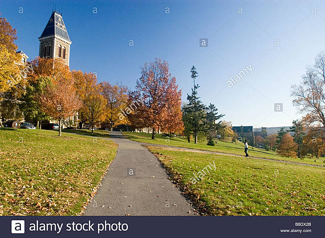 Investigadores de la Universidad de Cornell (EE.UU) construyen un robot que se replica a si mismo.