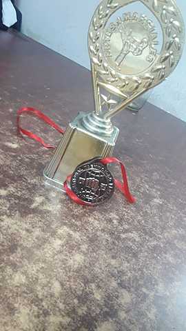 Mis primeras clases de taikondor