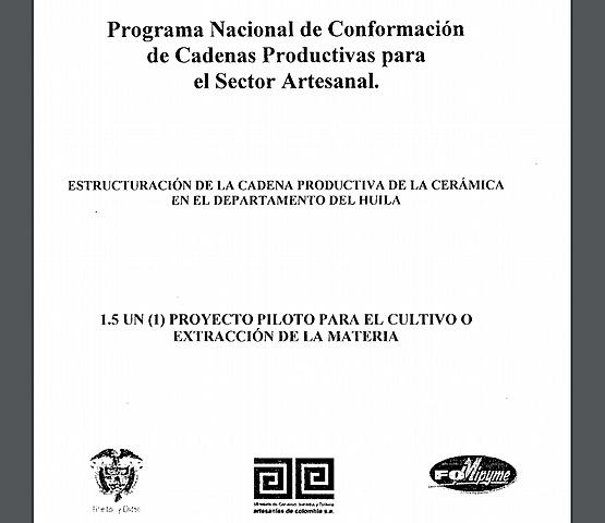 NOVENO Y ULTIMO PASO