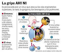Gripe A